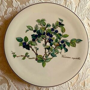 Villeroy & Boch Botanica Cold Plate